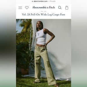 Abercrombie and Fitch volume 28 pull-on wide leg cargo pants